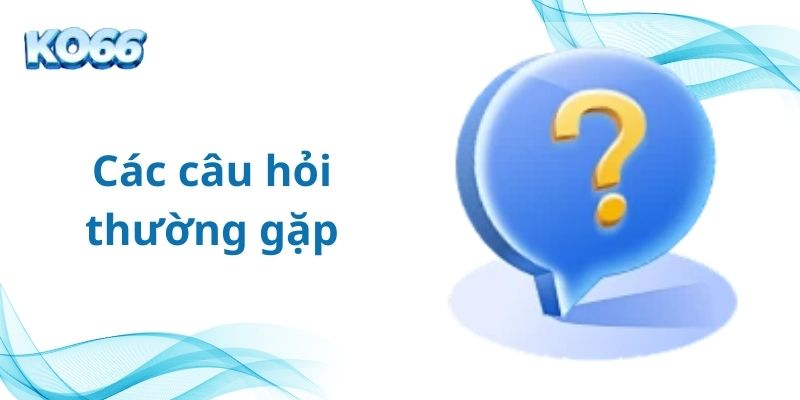 Câu hỏi thường gặp