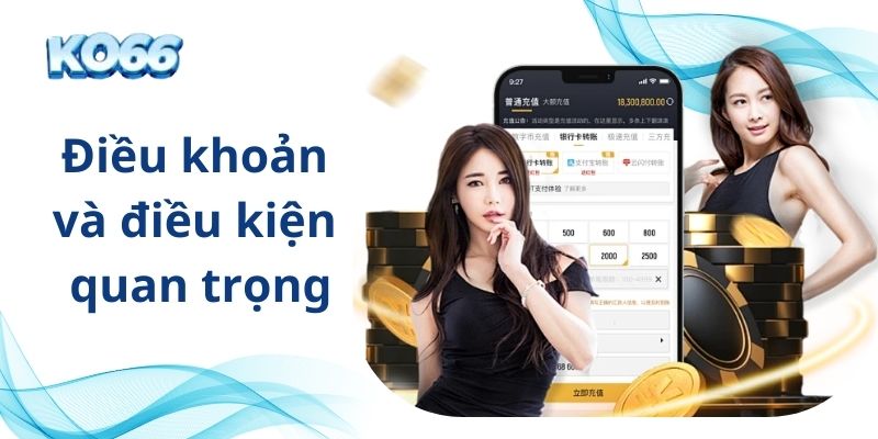 Các điều khoản và điều kiện quan trọng